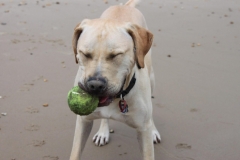 465539_10150875244536446_1160126699_o-e1475421926139