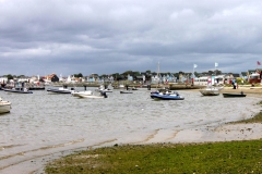 472259_10150875276306446_1841652110_o-e1475421911673