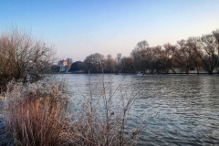 batch_IMG_3427