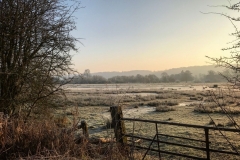 batch_IMG_3431