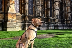 GALLERYbatch_IMG_3193