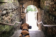 GALLERYbatch_IMG_3203