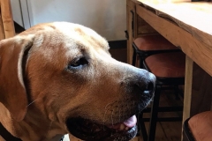 GALLERYbatch_IMG_3204