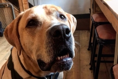 GALLERYbatch_IMG_3206