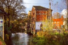 GALLERYbatch_IMG_3221