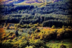 The surrounding mountains are stunning
