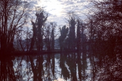 batch_IMG_3528