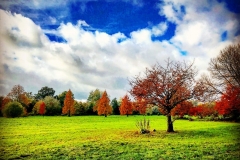 batch_IMG_3124