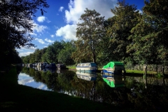 IMG_2449-e1475869867496