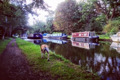 IMG_2452-e1475869828426