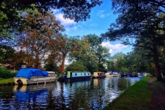 IMG_2453-e1475869811698