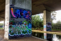 IMG_2455-e1475869757758