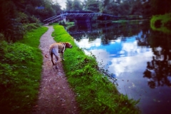 IMG_2458-e1475869680700