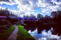 IMG_2459-e1475869660350