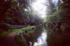 IMG_2462-e1475869593323