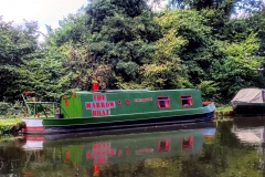 IMG_2463-e1475869512680