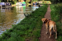 IMG_2465-e1475869494202