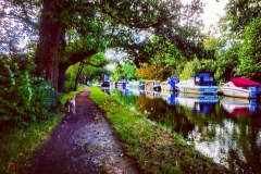 IMG_2468-e1475869197399