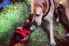 IMG_9536-e1475869149863