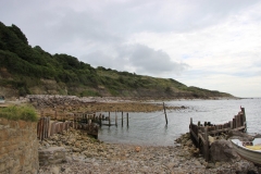IMG_1050-e1477744844829