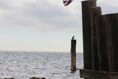 IMG_1058-e1477744807588