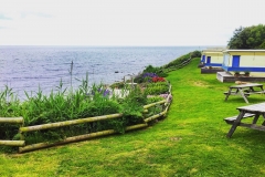 IMG_1900-e1477744421304