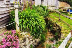 IMG_1901-e1477744397412