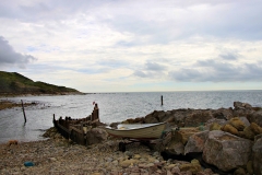 PSIMG_1048
