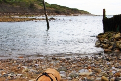 PSIMG_1056