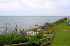 PSIMG_1072
