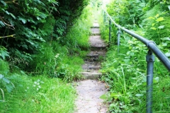 PSIMG_1085-e1477743645408