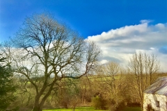 batch_IMG_5247