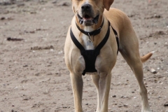 IMG_2074-e1475417208725