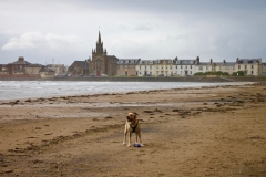 IMG_2080-e1475417197477