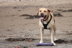 IMG_2093-e1475417179251