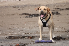 IMG_2094-e1475417165140