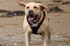 IMG_2098-e1475417153809