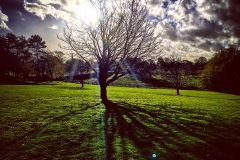 GALLERYREbatch_IMG_3183