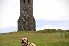 IMG_1025-e1476379836567