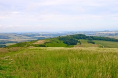 IMG_1036-e1476379767806