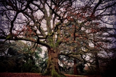 batch_IMG_1862