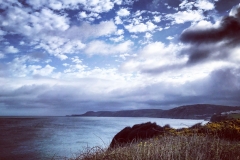 batch_IMG_5068