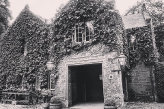 14115527_10153911803311446_7926834994673843155_o