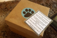 14192690_10153910168126446_1090130561793416159_n