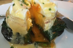 14224868_10153910389681446_5428590077444232665_n