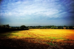 14352288_10153964723446446_8201480246871074019_o