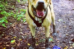 14361457_10153964744746446_8536791327323250845_o