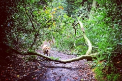 14379662_10153964745741446_1707351317279020483_o