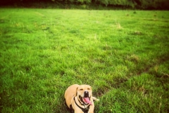 14379841_10153964742046446_1926625528689893591_o-e1475422955403