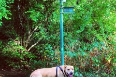 14380161_10153964725471446_2078353931656078821_o-e1475422941450